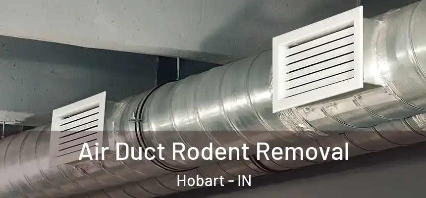  Air Duct Rodent Removal Hobart - IN