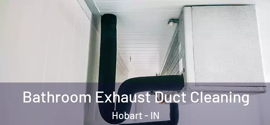  Bathroom Exhaust Duct Cleaning Hobart - IN