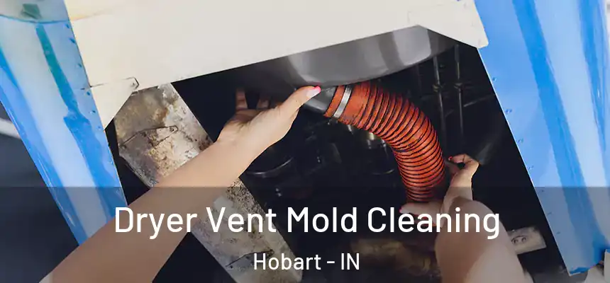 Dryer Vent Mold Cleaning Hobart - IN