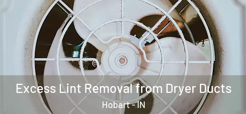 Excess Lint Removal from Dryer Ducts Hobart - IN
