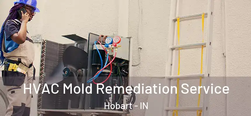 HVAC Mold Remediation Service Hobart - IN