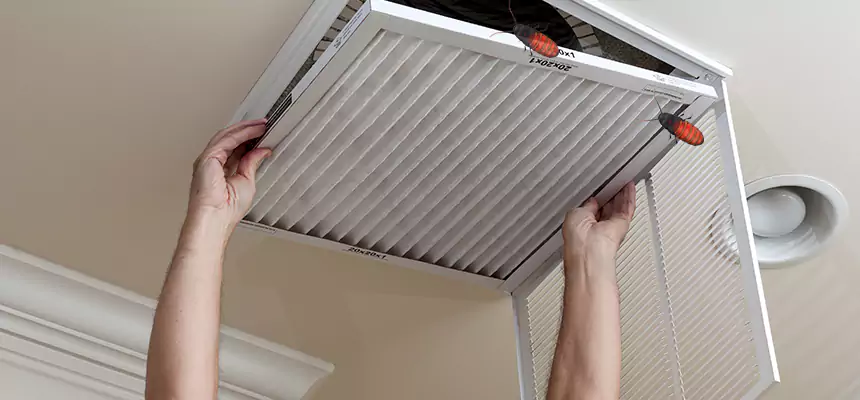 Preventive Cockroach-Proofing for Ducts in Hobart