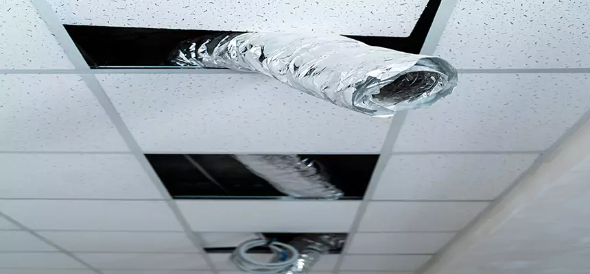 Our Air Duct Pet Hair Removal Services in Hobart, IN