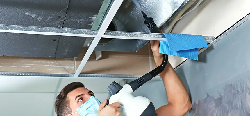 Our Air Duct Rodent Removal Services in Hobart, IN