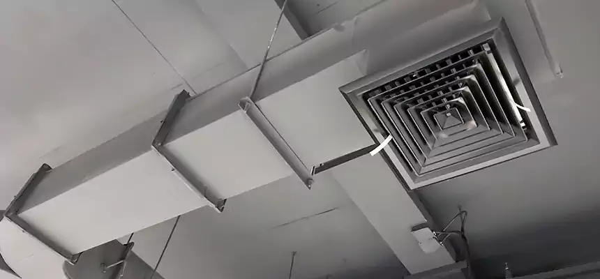 Restorative Allergy Relief Vent Cleaning – Coil, Blower & Housing Detail in Hobart