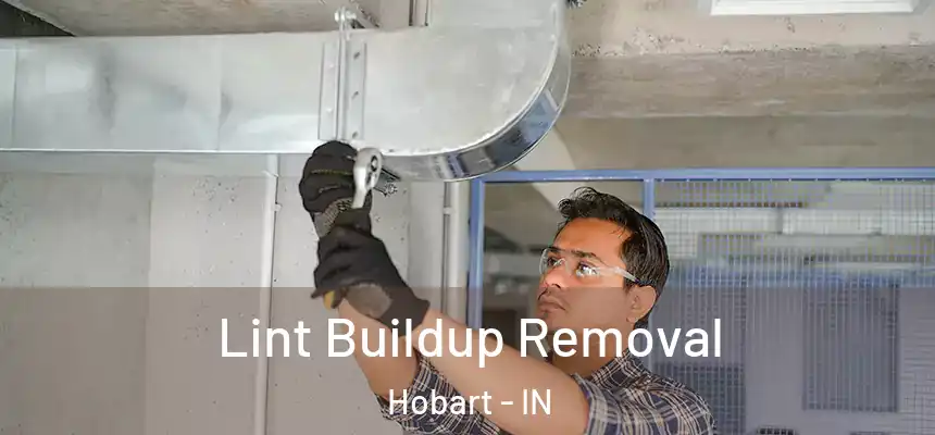 Lint Buildup Removal Hobart - IN