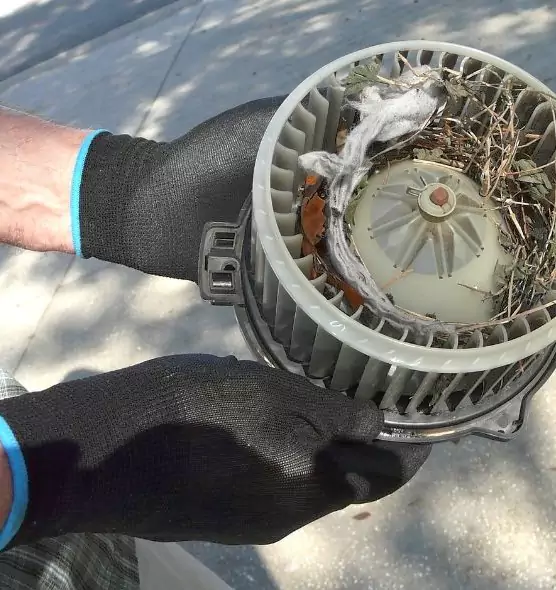 About Air Duct Rat Removal in Hobart, IN