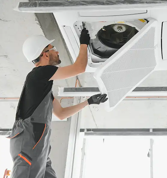 About Air Duct Rodent Removal in Hobart, IN