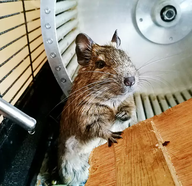 Why Homeowners & Businesses Trust Us Hobart, IN?